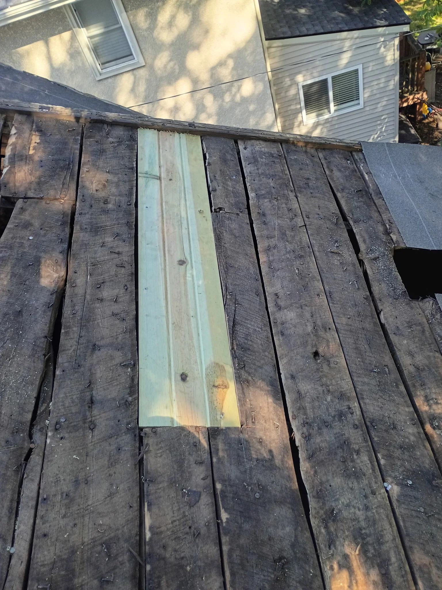 Exposed roof deck with weathered wood sheathing and a new pale treated board replacing a damaged section