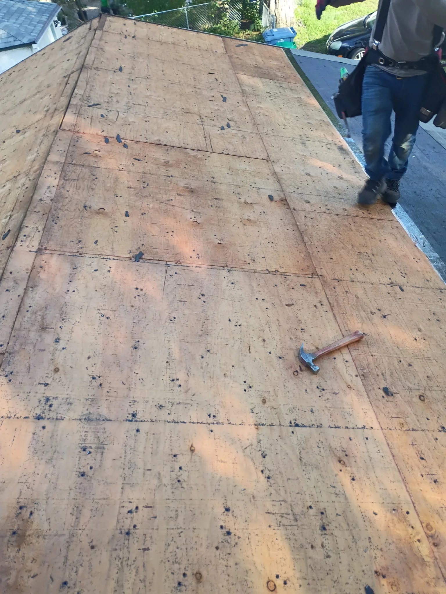Exposed plywood roof deck with visible seams and nail heads during re-roofing, roofer in tool belt walking the eave